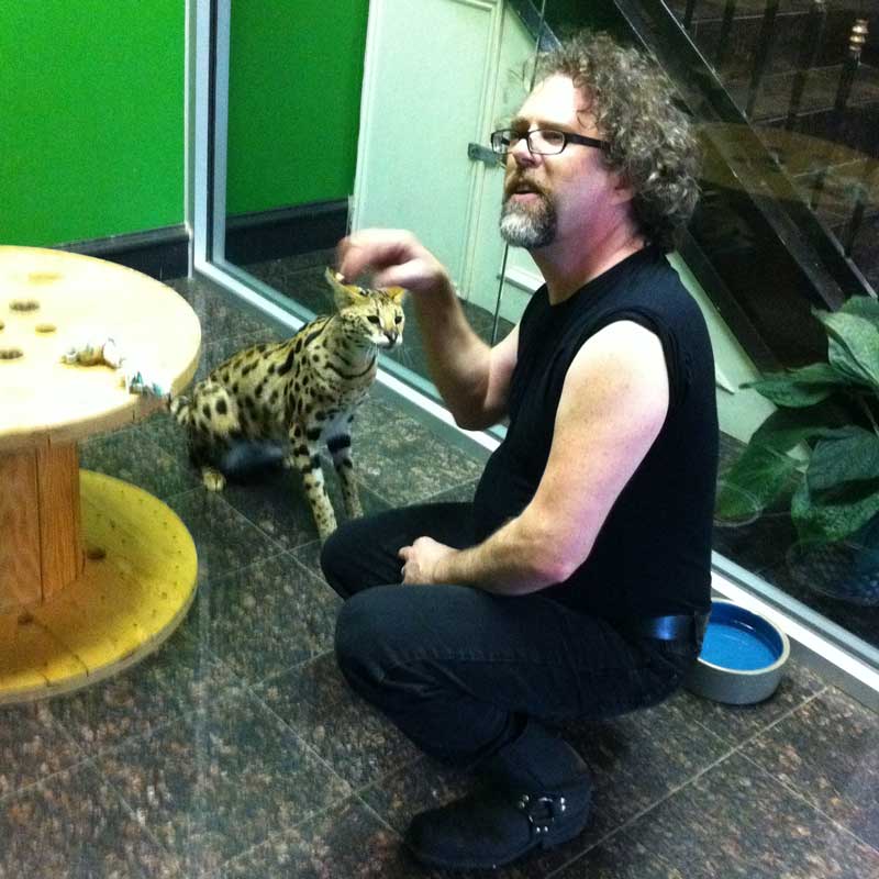 The artist petting a serval